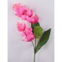 Branche de fleurs artificielles Medinilla LASENTER, rose, 110cm