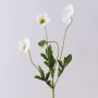 Branche fleurie artificielle Pavot OXANDRINE, crème-blanc, 60cm