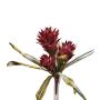 Guzmania en velours WALFRIEDE sur piquet, rouge bourgogne, 50cm