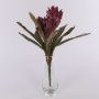 Guzmania en velours WALFRIEDE sur piquet, rouge bourgogne, 50cm