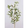 Branche d'olivier artificielle ROVUMA avec des fruits, vert, 95cm
