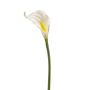artificielle Arum TEMBANA, blanc, 65cm