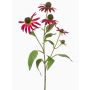 Branche décorative de rudbeckie MILROV, rose vif, 75 cm