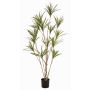 Arbre artificiel Dracaena marginata SHALLU, troncs artificiels, vert, 180 cm