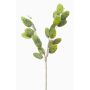 Branche de lunaire artificielle JUDITHA, vert, 70 cm