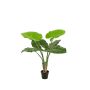 Plante artificielle Alocasia Calidora NICAS, pot décoratif, vert, 90 cm