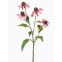 Branche décorative de rudbeckie MILROV, rose, 75 cm