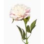 Pivoine artificielle GAVRON, blanc-rose, 55 cm