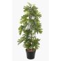 Plante artificielle Philodendron selloum BRINOL, pot décoratif, racines aériennes, 80 cm