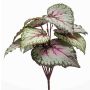 Plante artificielle « bégonia à feuilles » BLAROM sur tige, crossdoor, gris-rose, 25 cm