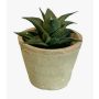 Plante succulente artificielle Haworthia limifolia GLOFER dans un pot en terre cuite, vert foncé, 13 cm