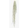Plante succulente artificielle Tillandsia usneoides BRAVIK, tige, difficilement inflammable, grise, 150 cm