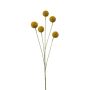 Fausse craspedia globosa AMELDA, jaune, 70cm
