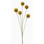 Fausse craspedia globosa AMELDA, jaune, 70cm