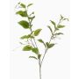 Branche décorative de clématite VLORIX, vert-crème, 105 cm