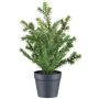 Plante artificielle if KRUHER, pot décoratif, vert, 28 cm