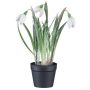 Fleur décorative Perce-neige WASFA en pot décoratif, enneigé, blanc, 20cm