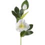 Fleur artificielle Rose de Noël DENDY, blanc, 35cm