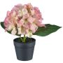 Fleur décorative Hortensia LENDYN en pot décoratif, rose-vert, 20cm