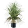 Palmier décoratif COOSA, 70 cm
