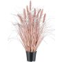 Fausse herbe Pennisetum PLAVE avec des panicules, rose, 60cm