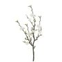 Branche de fleurs de cognassier artificielle VORLIN avec des fleurs, blanc, 75cm
