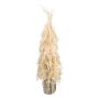 Herbe décorative herbe de la pampa pour sapin de Noël MOLFI dans un sac en jute, panicules, crème, 80cm