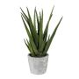 Plante succulente décorative Aloe Vera BRIZE en pot en ciment, vert, 40cm