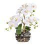 Fleur décorative Orchidée Phalaenopsis BRULFEN, vase décoratif argenté, blanc, 30cm