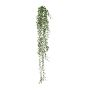 Suspension artificielle Muehlenbeckia GRIHON, tige, vert foncé, 80 cm