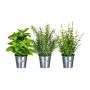 Mélange d'herbes artificielles DRILHO, basilic, romarin, thym, 3 pièces, pot en zinc, vert, 25 cm, Ø 16 cm