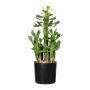 Cactus artificiel Euphorbia trigona MANDOR, vert, 40 cm