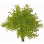 Fougère artificielle PADMA sur tige, vert-marron, 23cm, Ø20cm