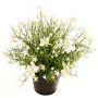 Fleur décorative « Impatiente » GISINDA dans un pot décoratif, blanc-vert, 25 cm