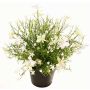 Fleur décorative Impatiente GISINDA dans un pot décoratif, blanc-vert, 25cm