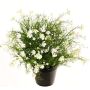 Fleur décorative « Impatiens » GISINDA dans un pot décoratif, blanc-vert, 40 cm