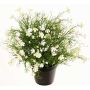 Fleur décorative Impatiens GISINDA dans un pot décoratif, blanc-vert, 40cm