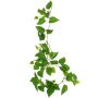 Plante décorative Guirlande de pothos SHELLEY sur piquet, collection écologique, vert, 55cm