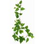 Plante décorative Guirlande de pothos SHELLEY sur piquet, collection écologique, vert, 55cm