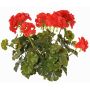 Géranium artificiel MALINA sur tige, crossdoor, rouge, 40cm