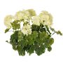 Géranium artificiel MALINA sur tige, crossdoor, crème, 40 cm