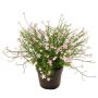 Fleur décorative « Impatiente » GISINDA dans un pot décoratif, rose, 25 cm