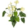 Anthurium artificiel NAKITA sur tige, crème, 50 cm