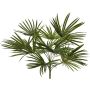 Palmier artificiel Washingtonia SAIMA sur tige, Crossdoor, 50 cm