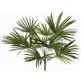 Palmier artificiel Washingtonia SAIMA sur tige, Crossdoor, 50cm