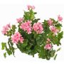 Fleur artificielle de géranium MIA sur tige, rose clair, 40cm, Ø5-8cm