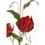 Branche de gloriosa en velours DINFAS, rouge foncé-doré, 80cm