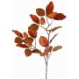 Branche de hêtre GALFHY en velours, cuivré, cuivre, 70cm