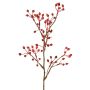 Branche décorative de rosier sauvage HIKERNO avec cynorrhodons, rouge, 60 cm