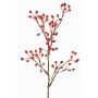 Branche décorative de rosier sauvage HIKERNO avec cynorrhodons, rouge, 60cm